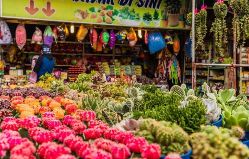Cameron Highlands Guided Tour