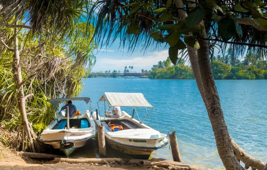 From Colombo To Galle Day Trip Turtles Surf Safari And More