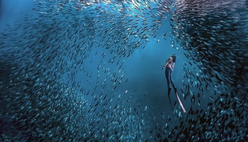 Moalboal Sardines Run + Kawasan Canyoneering