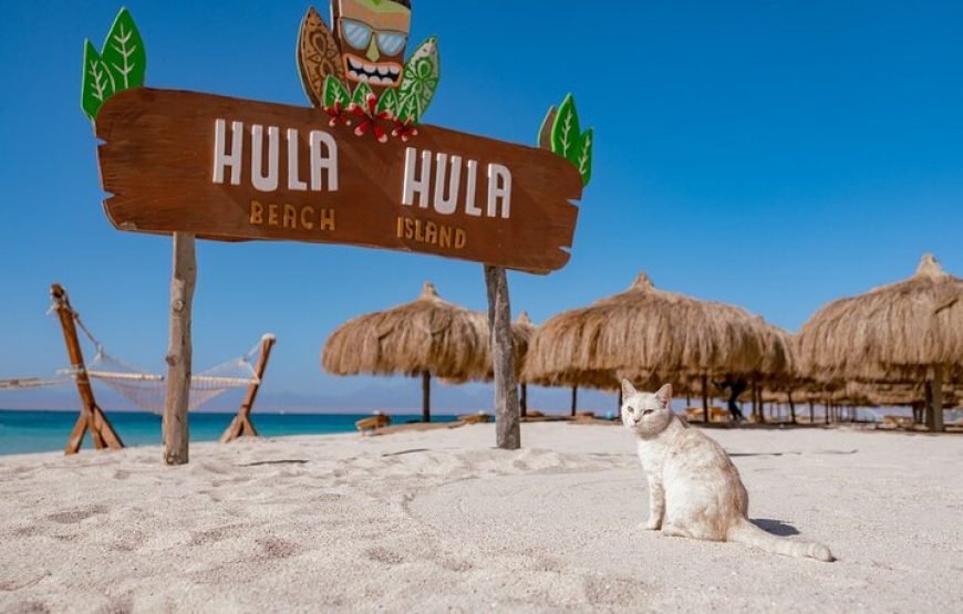 Sail Away to Hula Hula – Where Dreams Meet the Sea
