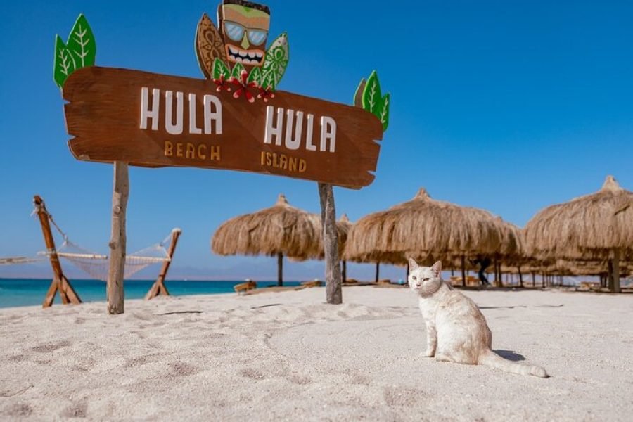 Sail Away to Hula Hula – Where Dreams Meet the Sea