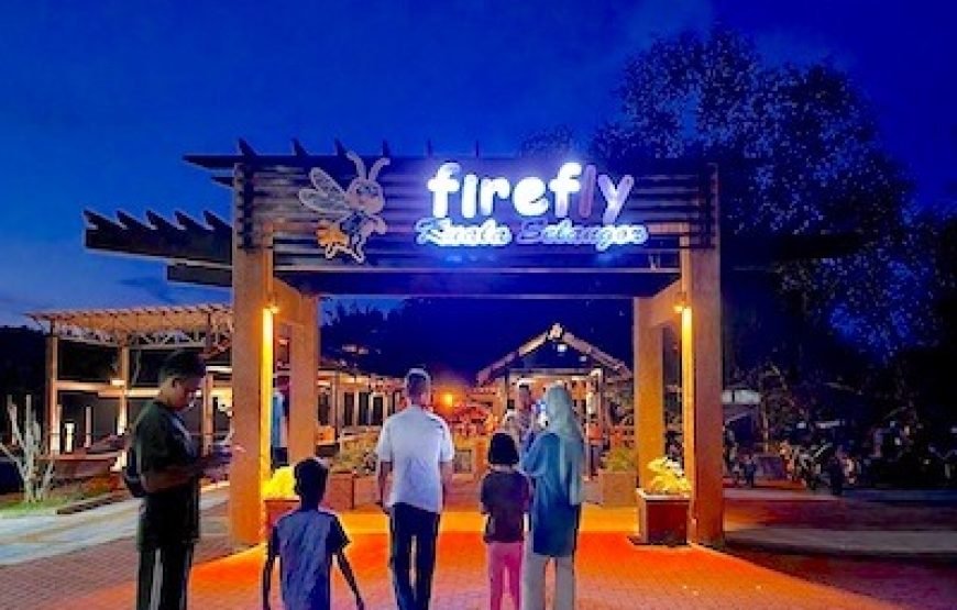 Countryside Kuala Selangor and Magical Fireflies