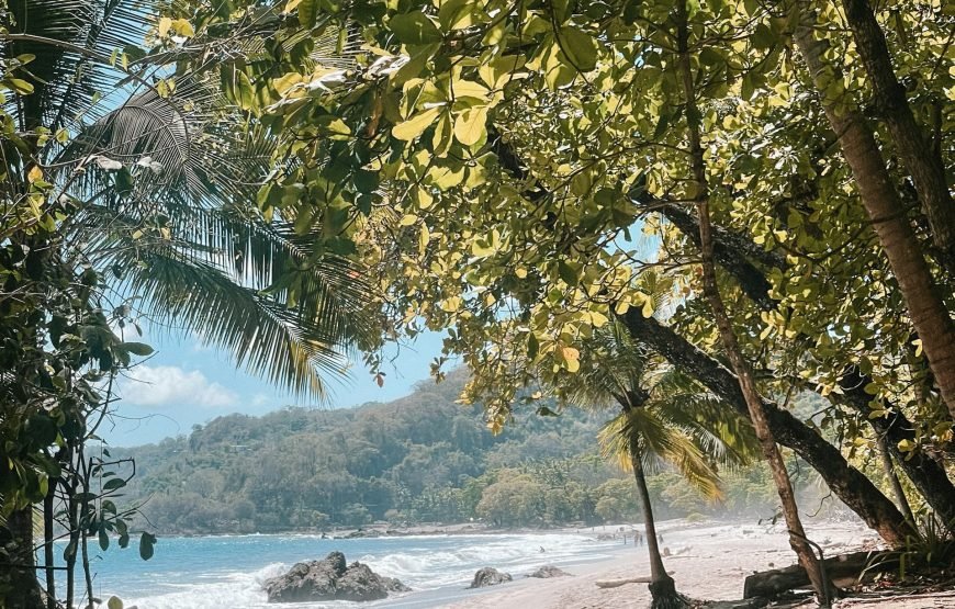 From Colombo To Galle Day Trip Turtles Surf Safari And More