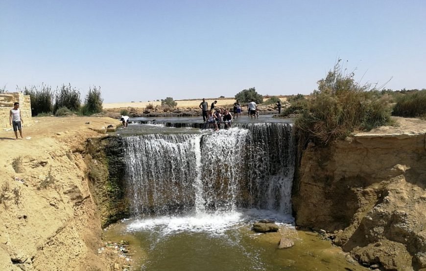 Royal Egypt: A VIP Journey Through Time, Nature & the Nile
