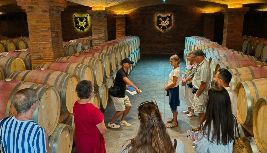 Franschhoek & Stellenbosch Wine Experience