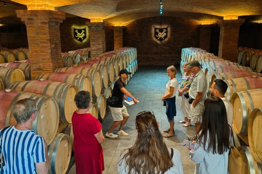 Franschhoek & Stellenbosch Wine Experience