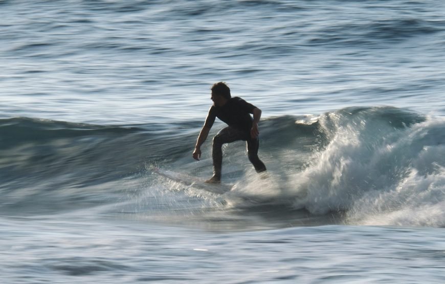 From Colombo To Galle Day Trip Turtles Surf Safari And More