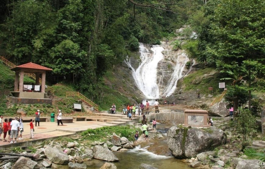 Cameron Highlands Guided Tour