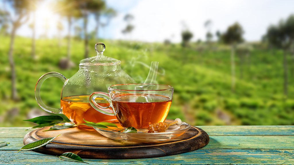 Ceylon Tea Factory Visit with Tasting