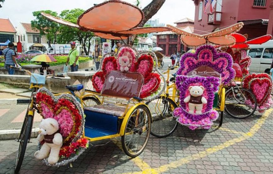 Private Malacca Tour