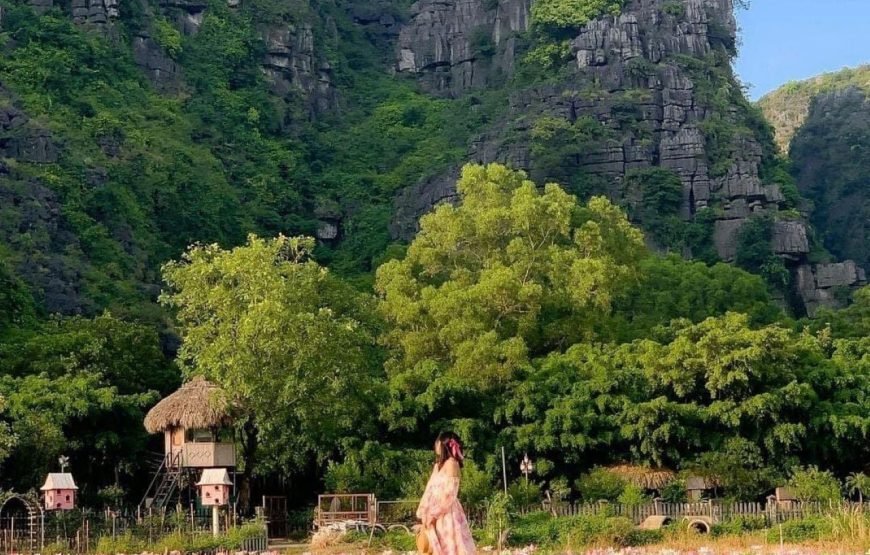 Quang Phu Cau Incense Village & Ninh Binh Highlights – 1 Day Tour