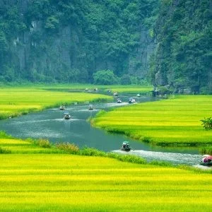 Quang Phu Cau Incense Village & Ninh Binh Highlights – 1 Day Tour