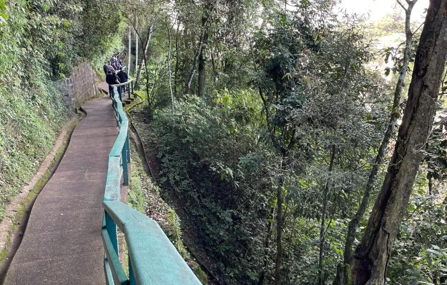 Iguassu Falls Full-Day Experience: Brazil & Argentina Sides + Skip-the-Line & Hotel Pickup