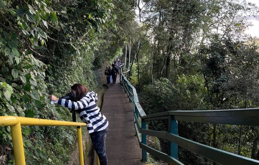 Iguassu Falls Full-Day Experience: Brazil & Argentina Sides + Skip-the-Line & Hotel Pickup
