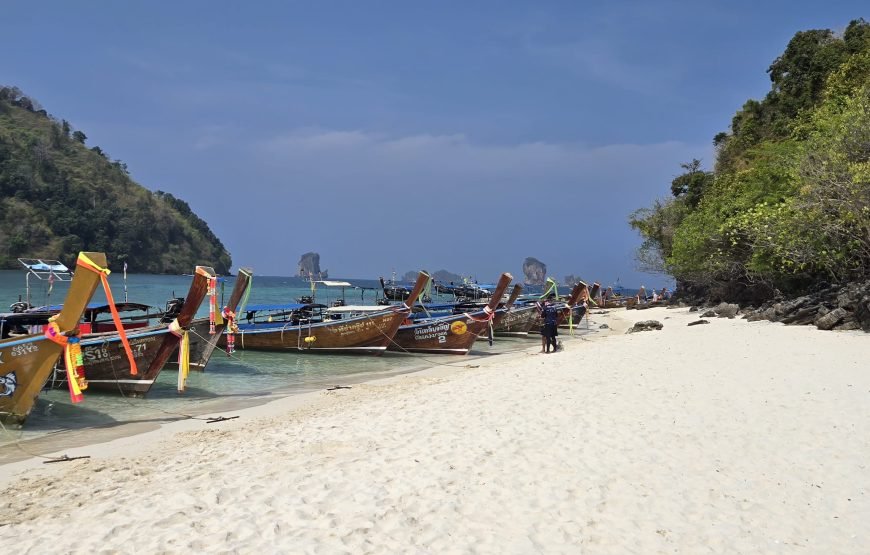 Krabi Day Trip to 4 Islands by Longtail Boat