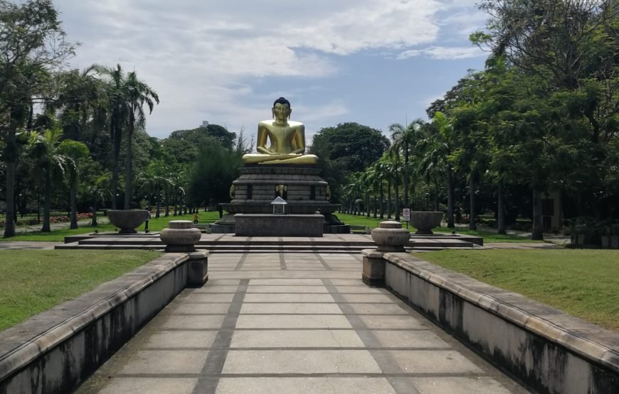 Explore Colombo in a Tuk Tuk – The Ultimate City Adventure!