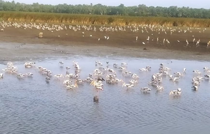 Discover Yala National Park – A Wild Adventure with Trusted Guides!