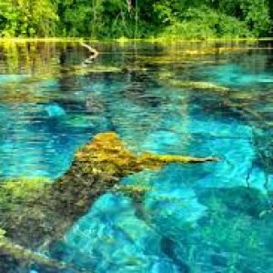 Blue Eye & Kayak Adventure