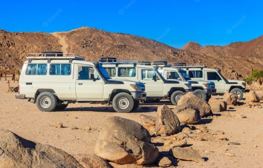Super Safari
