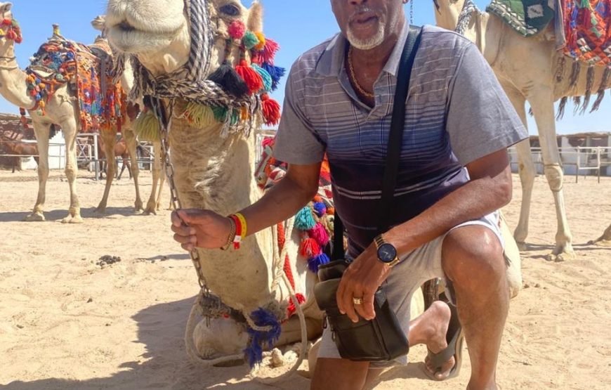 Hurghada – Horse Riding