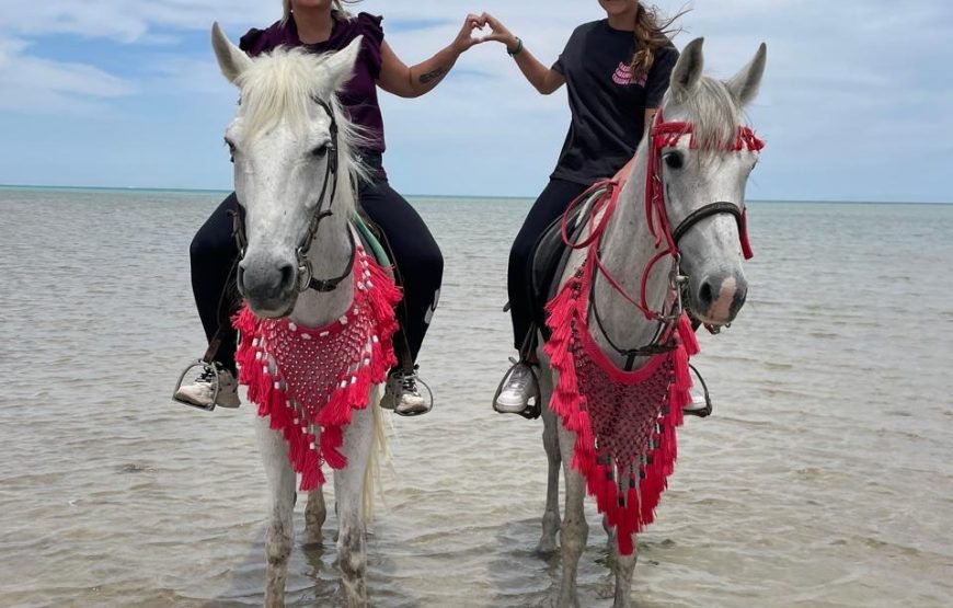 Hurghada – Horse Riding