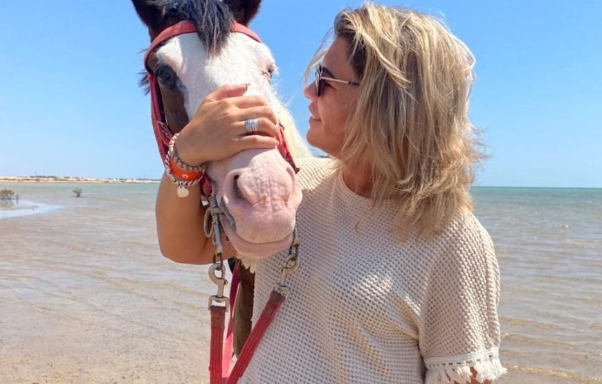 Hurghada – Horse Riding