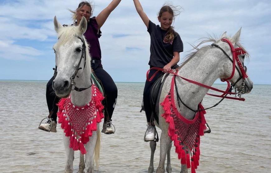 Hurghada – Horse Riding