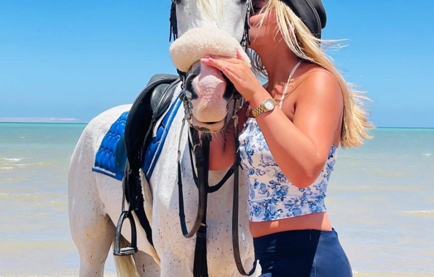 Hurghada – Horse Riding