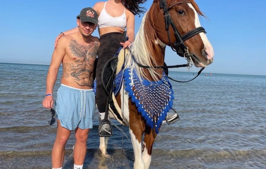 Hurghada – Horse Riding