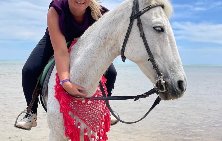 Hurghada – Horse Riding
