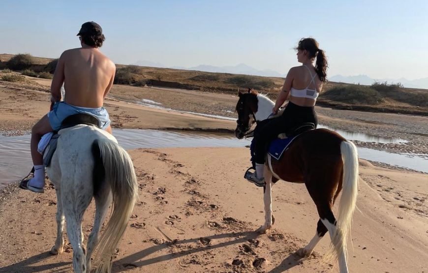 Hurghada – Horse Riding