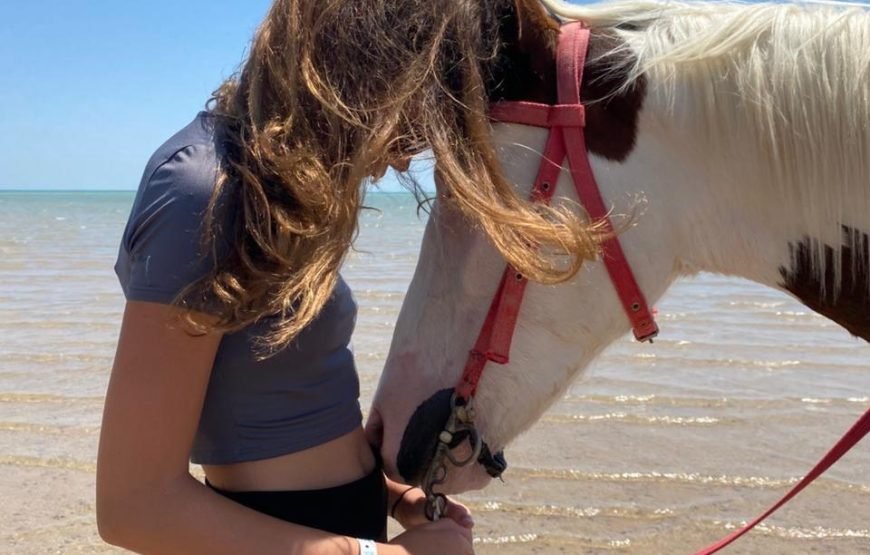 Hurghada – Horse Riding