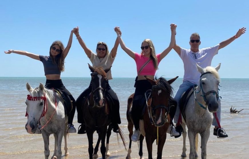 Hurghada – Horse Riding