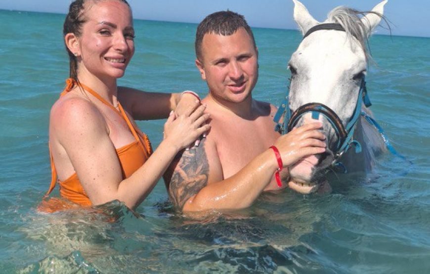 Hurghada – Horse Riding