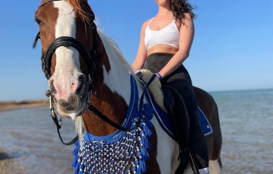 Hurghada – Horse Riding