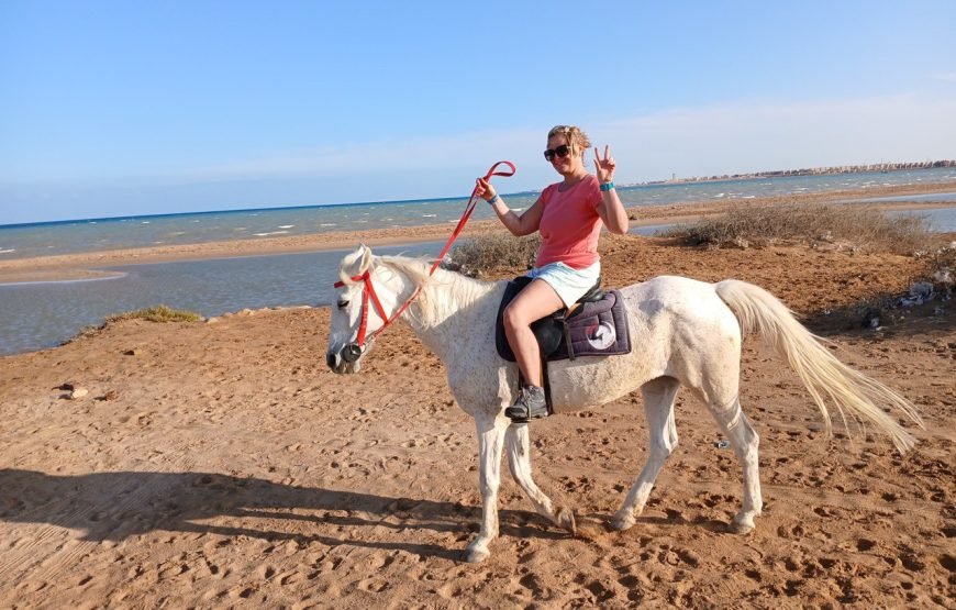 Hurghada – Horse Riding