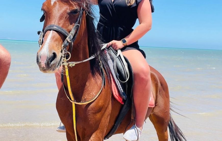 Hurghada – Horse Riding