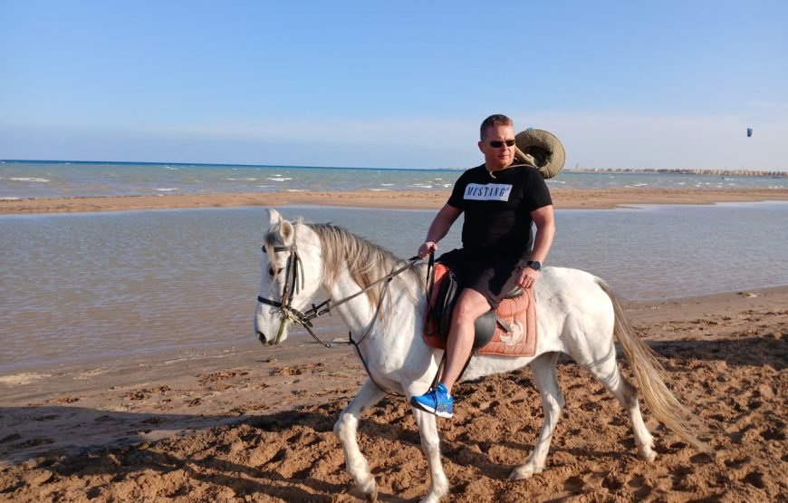 Hurghada – Horse Riding
