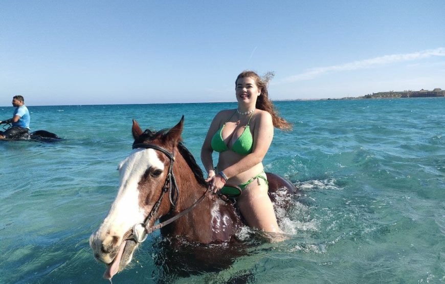 Hurghada – Horse Riding