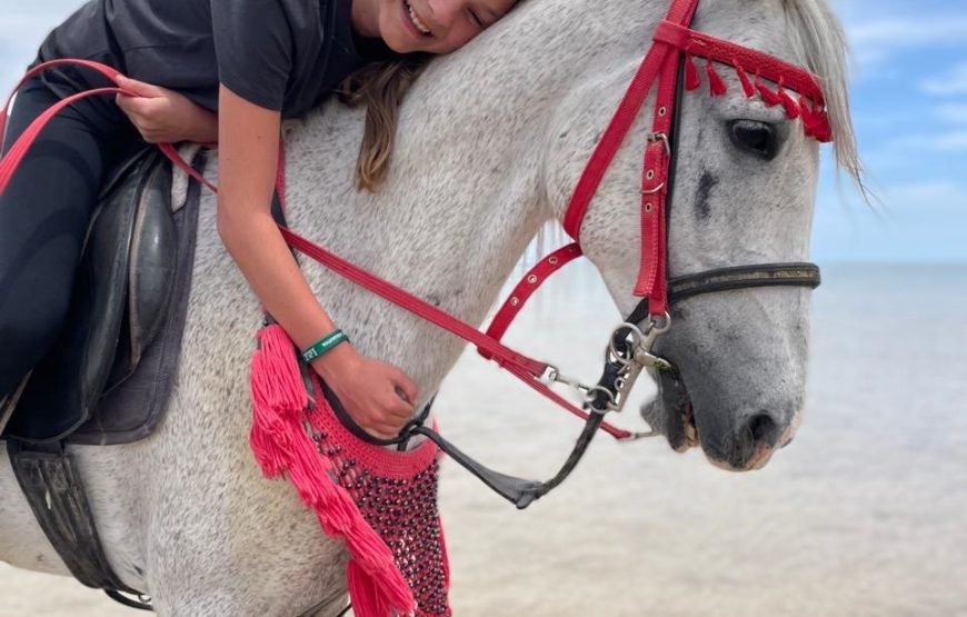 Hurghada – Horse Riding