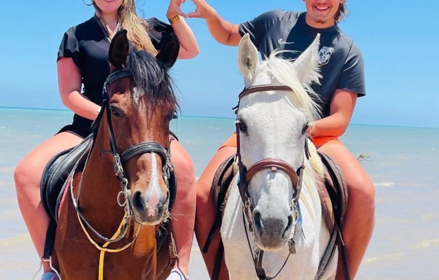 Hurghada – Horse Riding