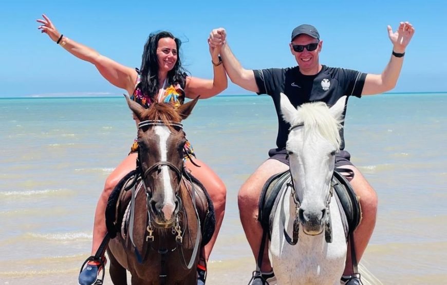 Hurghada – Horse Riding