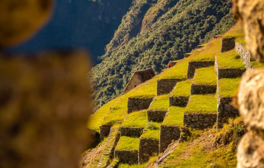 From Cusco: One-Day Round Trip to Machu Picchu by Train