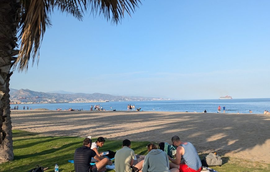 Dynamic Vacation In Sunny Málaga: Cooking Paella Workshop, Hiking and Pickleball (private room)🌄🥘🏓