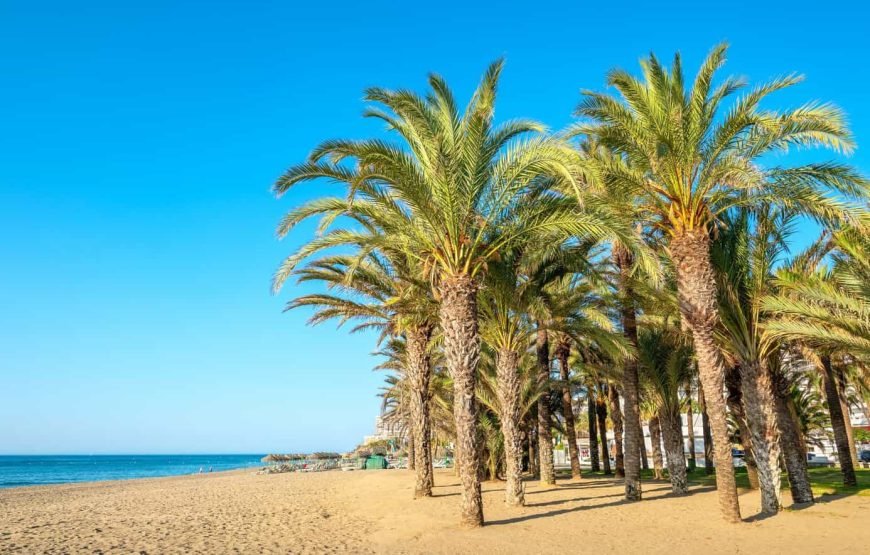 Dynamic Vacation In Sunny Málaga: Cooking Paella Workshop, Hiking and Pickleball (private room)🌄🥘🏓