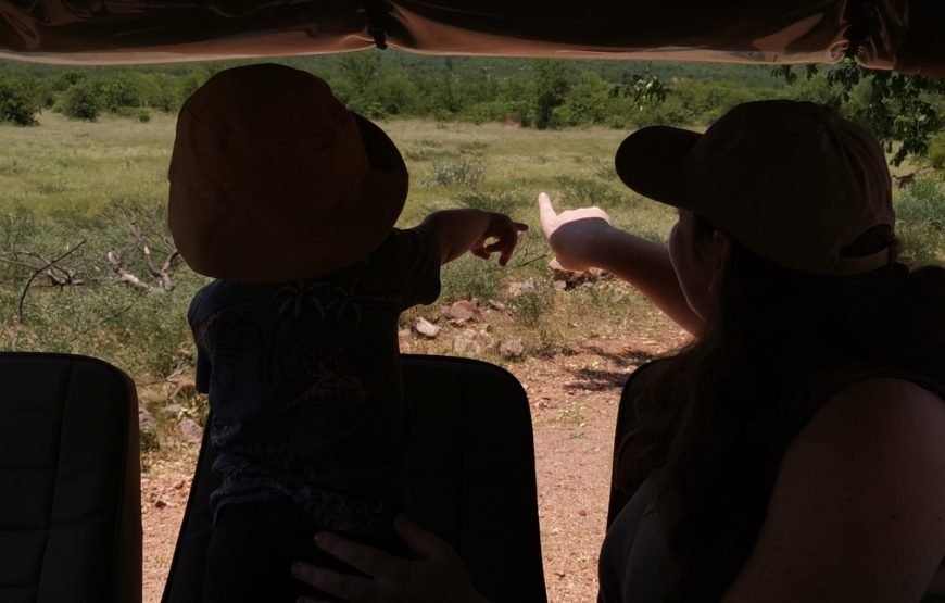 Full day Exclusive Kruger National Park Safari
