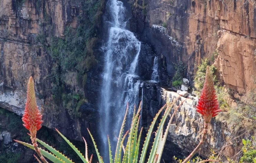 4 Day Kruger to Panorama Route Tour