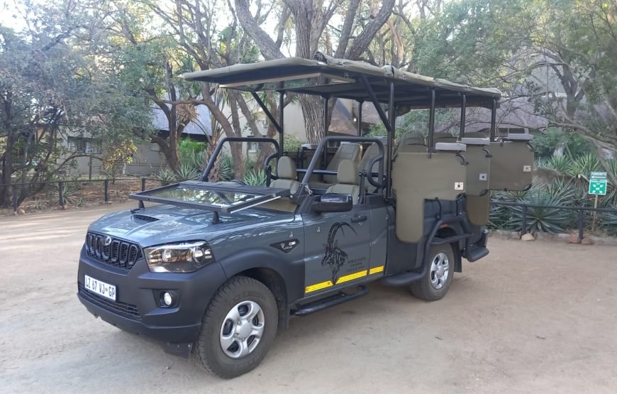 Full day Exclusive Kruger National Park Safari
