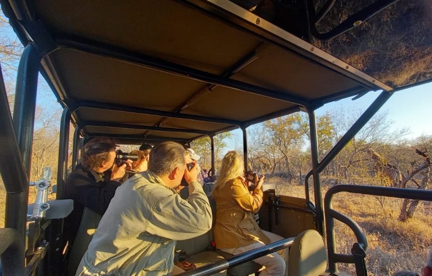 4 Day Kruger to Panorama Route Tour