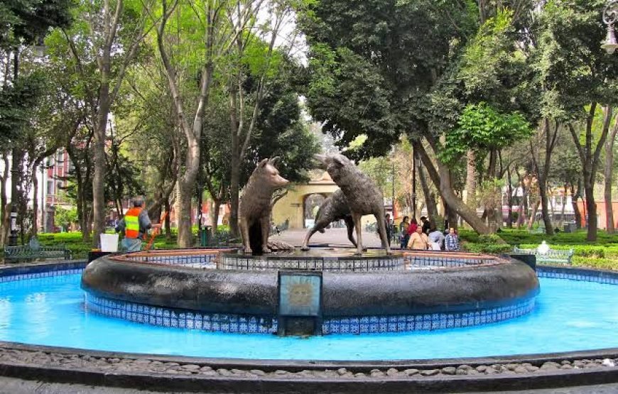 Sabor a Coyoacán: Eat Like a Local